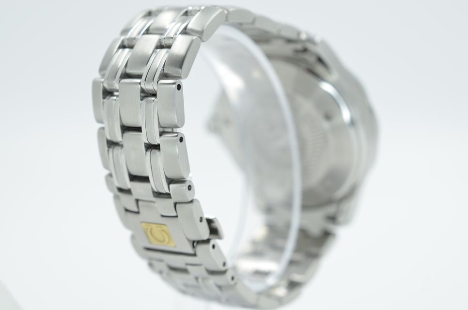 Omega Seamaster GMT 2534.50.00 Image 3